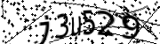 Anti-Bot verification code image